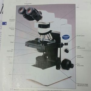 Meet your Posher, Bjørk